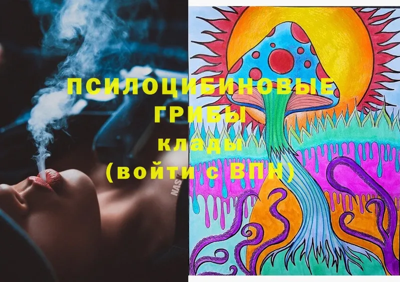 hydra ссылка  как найти закладки  Владивосток  Галлюциногенные грибы Cubensis 